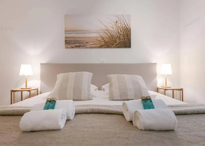 Appartement Splendid On An Amazing Location